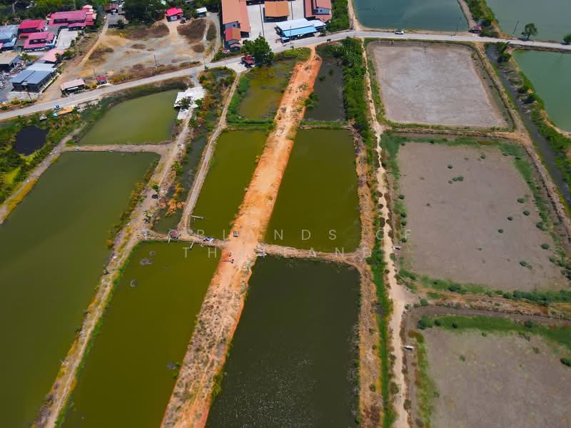 ขาย ที่ดิน บางบ่อ จ.สมุทรปราการ ถนนบานา-ตราด เนื้อที่ 60 ไร่ เหมาะสร้าง โรงงาน โกดัง และคลังสินค้า, สมุทรปราการ, บางนา-ตราด, คลองนิยมยาตรา, บางบ่อ, สมุทรปราการ, 95,984 ตร.ม., ที่ดิน ขาย, โดย TopLands of Thailand, 500250250 - DDproperty.com