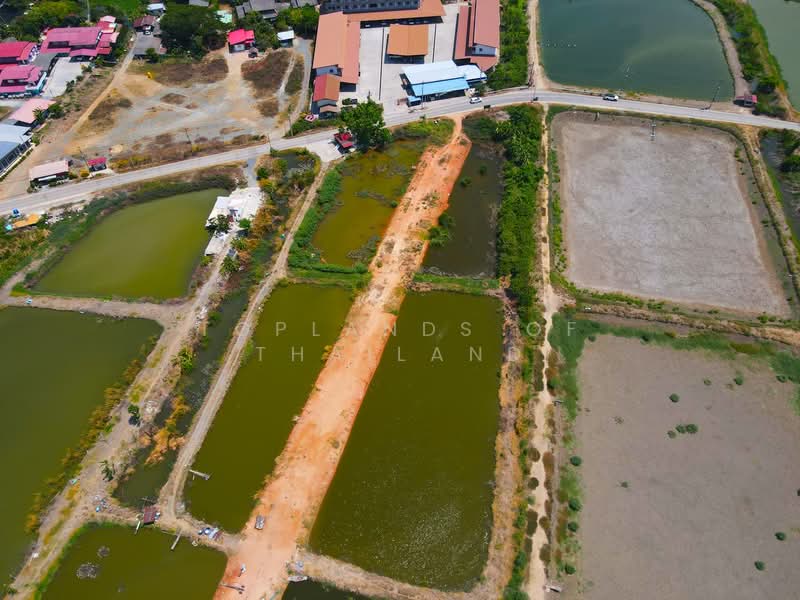 ขาย ที่ดิน บางบ่อ จ.สมุทรปราการ ถนนบานา-ตราด เนื้อที่ 60 ไร่ เหมาะสร้าง โรงงาน โกดัง และคลังสินค้า, Samut Prakan, บางนา-ตราด, Khlong Niyomyatra, Bang Bo, Samut Prakan, , 95,984 sqm, Land For Sale, by TopLands of Thailand, 500250250 - DDproperty.com