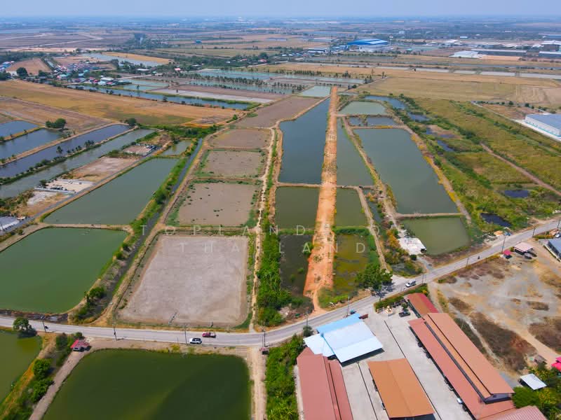 ขาย ที่ดิน บางบ่อ จ.สมุทรปราการ ถนนบานา-ตราด เนื้อที่ 60 ไร่ เหมาะสร้าง โรงงาน โกดัง และคลังสินค้า, Samut Prakan, บางนา-ตราด, Khlong Niyomyatra, Bang Bo, Samut Prakan, , 95,984 sqm, Land For Sale, by TopLands of Thailand, 500250250 - DDproperty.com