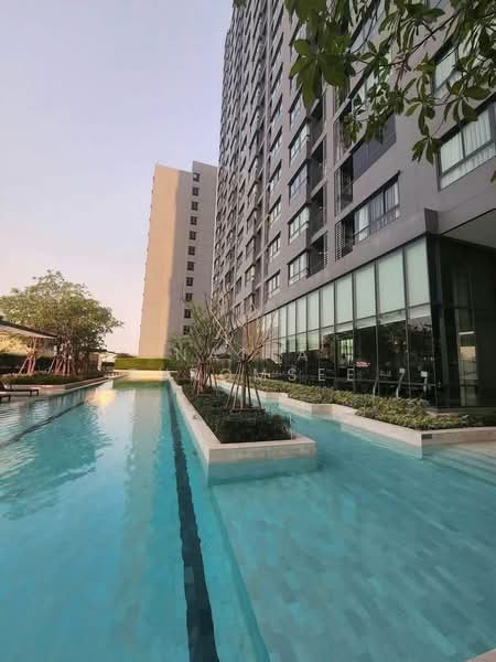 IDEO Sukhumvit 93, Bangkok, 2331 Soi Sukhumvit 93, Bang Chak, Phra Khanong, Bangkok, 1 Bedroom, 35 sqm, Condo For Rent, by Natta Buromsee, 500250335 - DDproperty.com