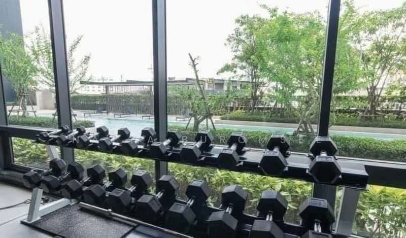 IDEO Sukhumvit 93 : ไอดีโอ สุขุมวิท 93, กรุงเทพ, 2331 ซอยสุขุมวิท 93, บางจาก, พระโขนง, กรุงเทพ, 35 ตร.ม., คอนโด ให้เช่า, โดย Natta Buromsee, 500250335 - DDproperty.com