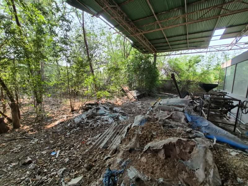 สลกบาตร, Kamphaeng Phet, Salok Bat, Khanu Woralaksaburi, Kamphaeng Phet, , 1 sqm, Warehouse/Factory For Rent, by ฐิติพร พฤกษะริตานนท์, 500250350 - DDproperty.com