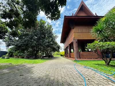 ขาย - สันป่าเปา, เชียงใหม่