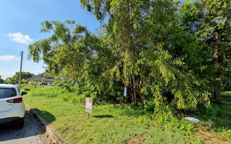 คลองหนึ่ง, Pathum Thani, Khlong Nung, Khlong Luang, Pathum Thani, , 1,596 sqm, Land For Sale, by ชญาพิชชา พันธกิจ, 500250526 - DDproperty.com