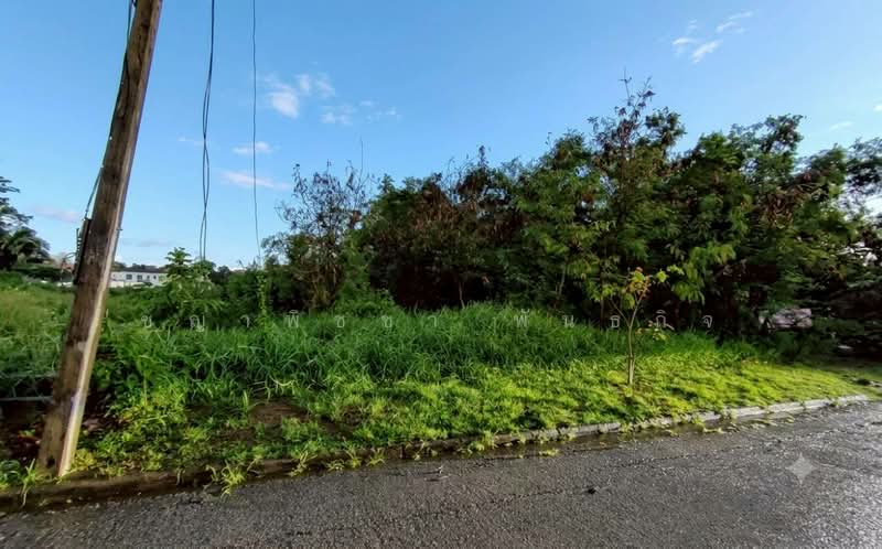 คลองหนึ่ง, Pathum Thani, Khlong Nung, Khlong Luang, Pathum Thani, , 1,596 sqm, Land For Sale, by ชญาพิชชา พันธกิจ, 500250526 - DDproperty.com