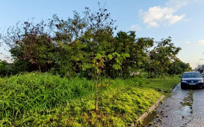 คลองหนึ่ง, Pathum Thani, Khlong Nung, Khlong Luang, Pathum Thani, , 1,596 sqm, Land For Sale, by ชญาพิชชา พันธกิจ, 500250526 - DDproperty.com