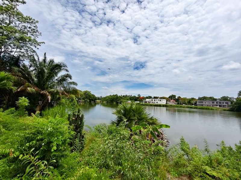 คลองหนึ่ง, Pathum Thani, Khlong Nung, Khlong Luang, Pathum Thani, , 1,596 sqm, Land For Sale, by ชญาพิชชา พันธกิจ, 500250526 - DDproperty.com