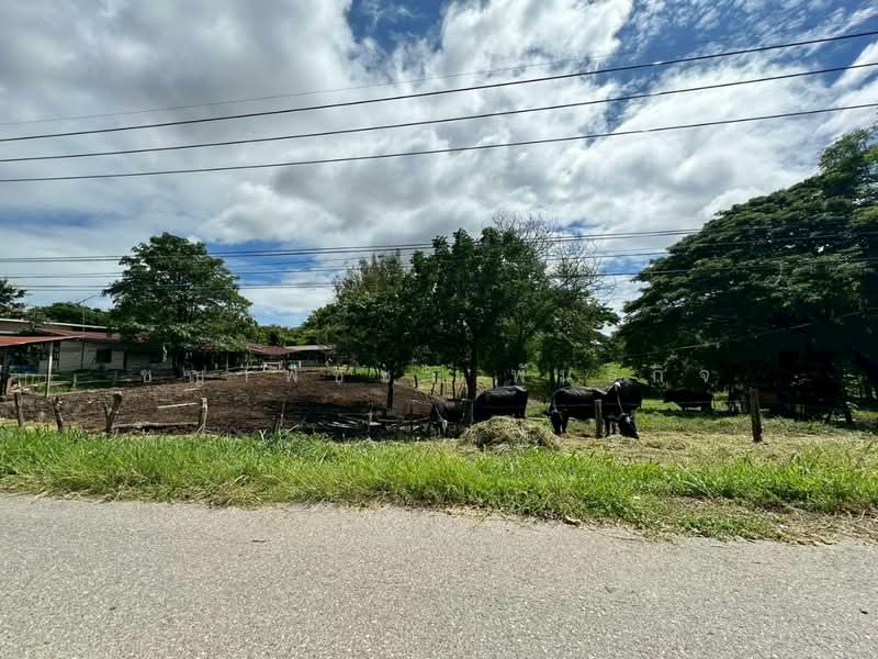 มิตรภาพ, Saraburi, Mittaphap, Muak Lek, Saraburi, , 6,996 sqm, Land For Sale, by ชญาพิชชา พันธกิจ, 500250554 - DDproperty.com