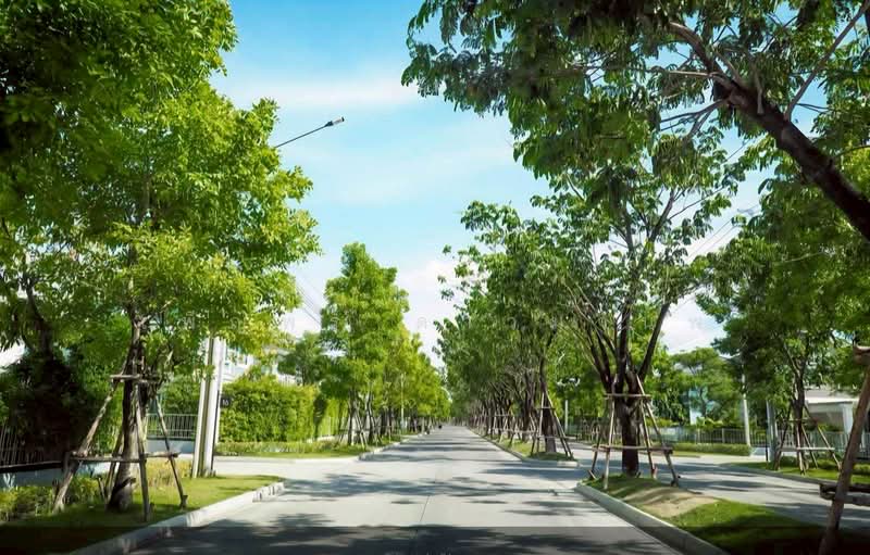 Villaggio Pinklao-Salaya : วิลลาจจิโอ ปิ่นเกล้า-ศาลายา, นนทบุรี, ถนนสำเร็จพัฒนา, ศาลากลาง, บางกรวย, นนทบุรี, 136 ตร.ม., บ้านเดี่ยว ขาย, โดย เพ็ญพร ดาวมานพ, 500250579 - DDproperty.com