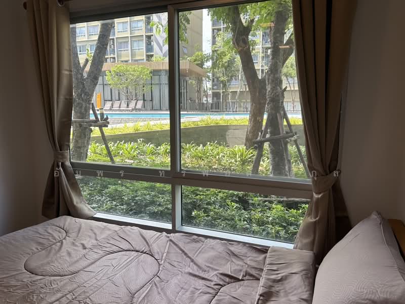 For Sale - Plum Condo Rangsit Alive, Pathum Thani