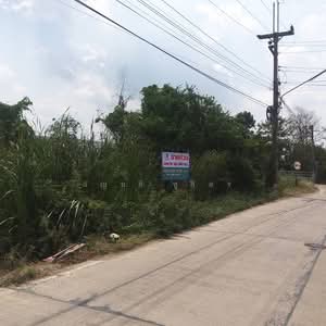 ขาย - นราภิรมย์, นครปฐม