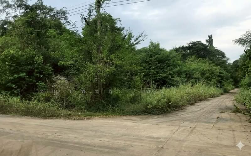 ขาย - แก่งกระจาน, เพชรบุรี