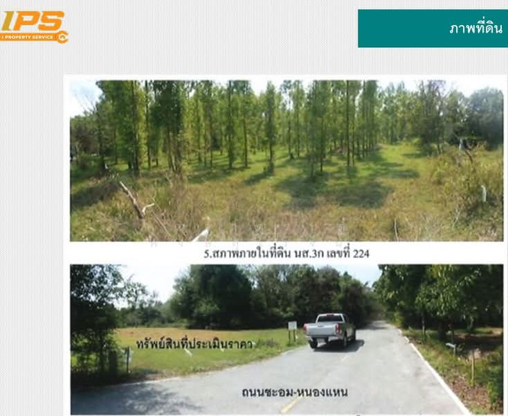 ชะอม, Saraburi, Cha Om, Kaeng Khoi, Saraburi, , 285,792 sqm, Land For Sale, by คุณจาตุรนต์ พงษ์สุโรจน์, 500250702 - DDproperty.com