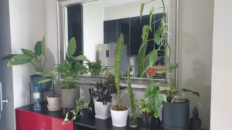 The Crest Sukhumvit 34, Bangkok, 778 Sukhumvit Road, Khong Tan, Khlong Toei, Bangkok, 1 Bedroom, 36 sqm, Condo For Sale, by Sarawut Ratchawong, 500250731 - DDproperty.com