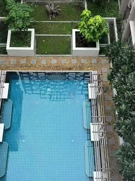 Amaranta Residence, Bangkok, Soi Pracha Rat 5, Pracharat Bumpan Road, Huai Khwang, Huai Khwang, Bangkok, 1 Bedroom, 43 sqm, Condo For Rent, by Piyawan Maiyapan, 500250771 - DDproperty.com