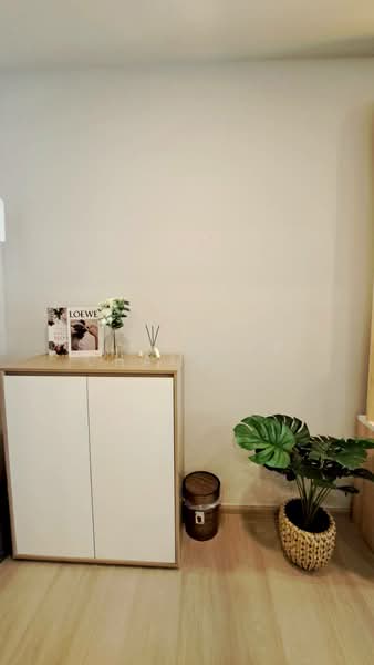 Aspire Onnut Station, Bangkok, Sukhumvit Road, Phra Kanong, Khlong Toei, Bangkok, 1 Bedroom, 31 sqm, Condo For Rent, by Suchanya Champatong, 500250951 - DDproperty.com