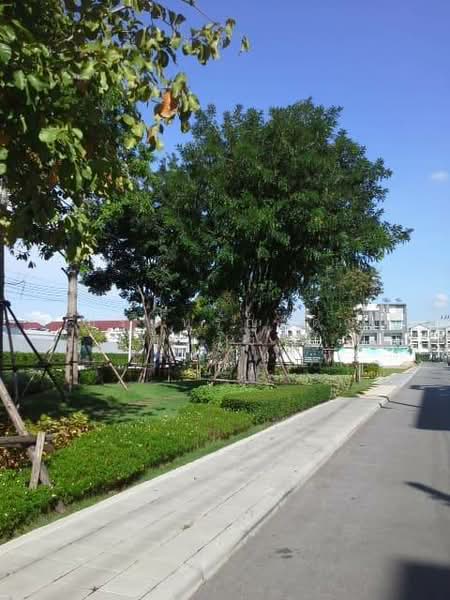 SPACE Ladprao-Mengjai, Bangkok, Pracha Uthit Road (Mengjai), Wang Thonglang, Wang Thonglang, Bangkok, 3 Bedrooms, 220 sqm, Townhouse For Rent, by ปรินทร์ญาดา ชิณโชติ, 500251013 - DDproperty.com