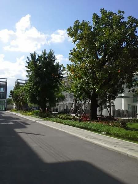 SPACE Ladprao-Mengjai : สเปซ ลาดพร้าว-เหม่งจ๋าย, กรุงเทพ, ถนนประชาอุทิศ (เหม่งจ๋าย), วังทองหลาง, วังทองหลาง, กรุงเทพ, 220 ตร.ม., ทาวน์เฮ้าส์ ให้เช่า, โดย ปรินทร์ญาดา ชิณโชติ, 500251013 - DDproperty.com