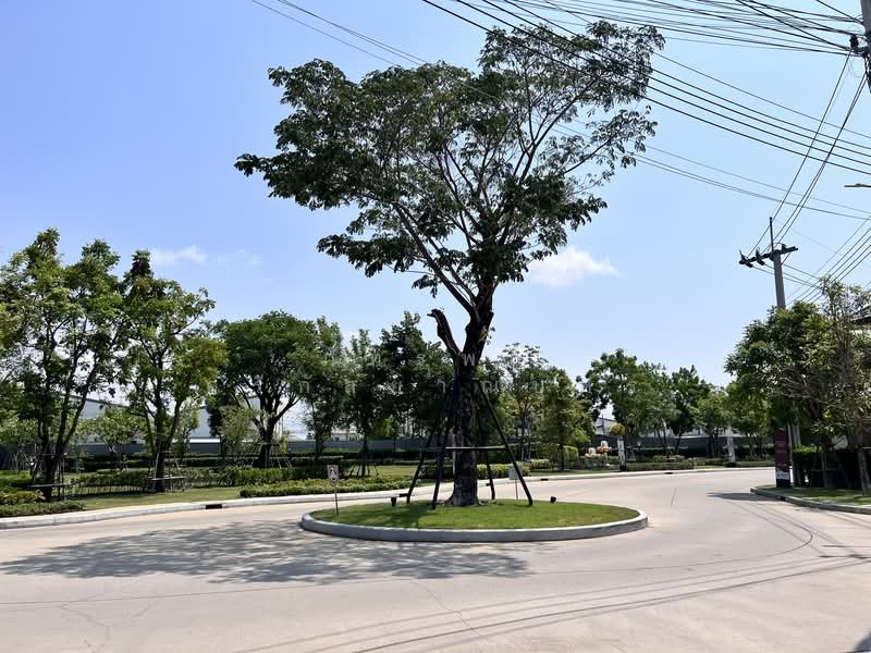 Pleno Suksawat-Prachauthit : พลีโน่ สุขสวัสดิ์-ประชาอุทิศ, สมุทรปราการ, บ้านคลองสวน, พระสมุทรเจดีย์, สมุทรปราการ, 125 ตร.ม., บ้านเดี่ยว ขาย, โดย ภัทรพล ศรีกัลยาณบุตร, 500251076 - DDproperty.com