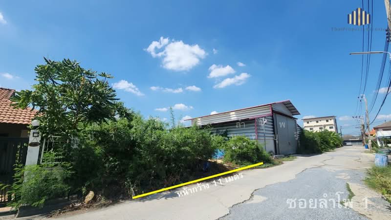 Land for Sale Lam Pho, Bang Bua Thong, Nonthaburi | 50 sq.wah Near Road 345 & Kanchanaphisek, Nonthaburi, Bang Bua Thong, Bang Bua Thong, Nonthaburi, , 200 sqm, Land For Sale, by คุณเอ็มมี่, 500251106 - DDproperty.com