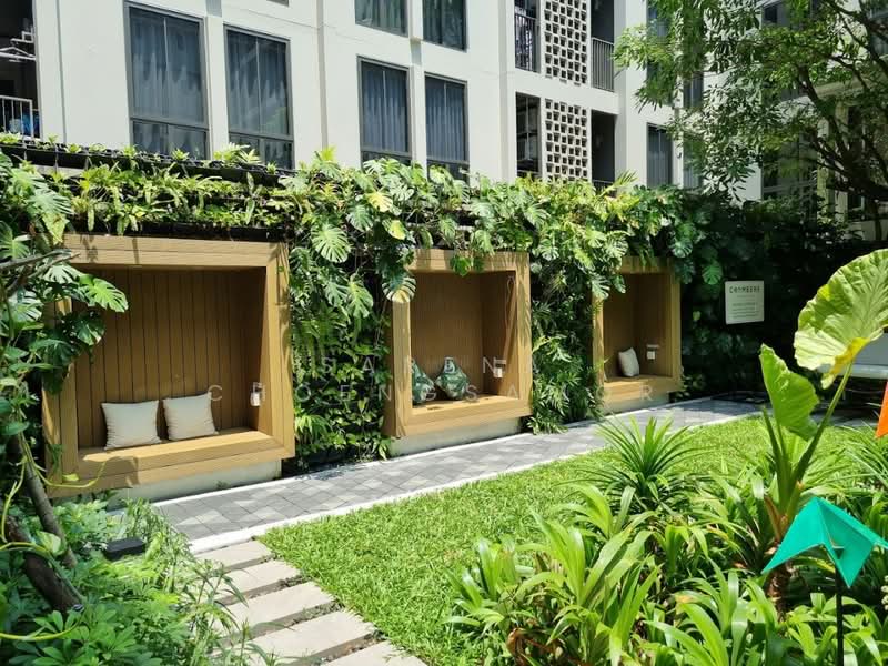 Chambers On-Nut Station, Bangkok, Soi Sukhumvit 81, Sukhumvit Road, Phra Kanong Nua, Watthana, Bangkok, 1 Bedroom, 27 sqm, Condo For Sale, by Sarena Choengsamor, 500251158 - DDproperty.com
