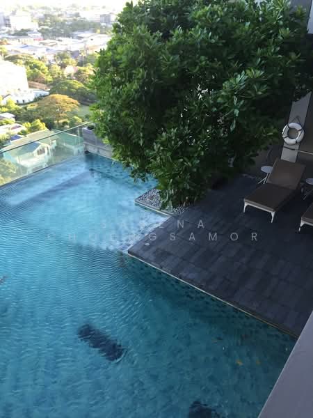 IDEO Morph 38, Bangkok, 88 Sukhumvit Road, Phra Kanong, Khlong Toei, Bangkok, 2 Bedrooms, 71 sqm, Condo For Rent, by Sarena Choengsamor, 500251250 - DDproperty.com
