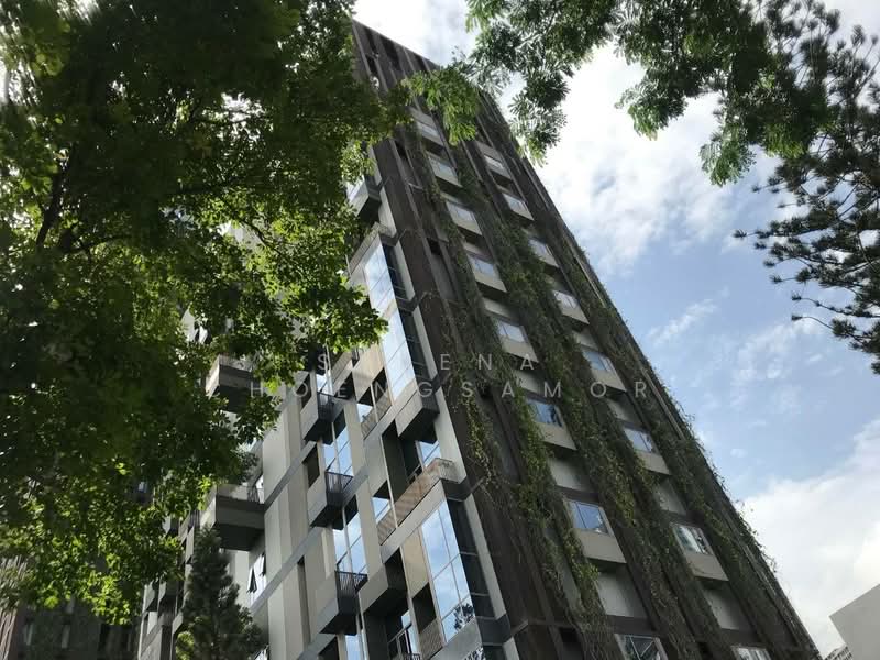 IDEO Morph 38, Bangkok, 88 Sukhumvit Road, Phra Kanong, Khlong Toei, Bangkok, 2 Bedrooms, 71 sqm, Condo For Rent, by Sarena Choengsamor, 500251250 - DDproperty.com