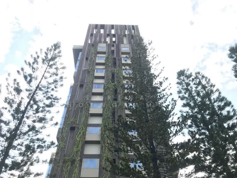 IDEO Morph 38, Bangkok, 88 Sukhumvit Road, Phra Kanong, Khlong Toei, Bangkok, 2 Bedrooms, 71 sqm, Condo For Rent, by Sarena Choengsamor, 500251250 - DDproperty.com