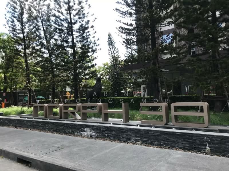 IDEO Morph 38, Bangkok, 88 Sukhumvit Road, Phra Kanong, Khlong Toei, Bangkok, 2 Bedrooms, 71 sqm, Condo For Rent, by Sarena Choengsamor, 500251250 - DDproperty.com