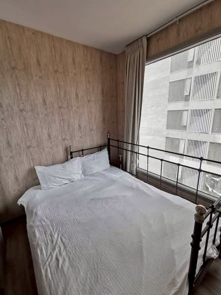 CEIL by Sansiri, Bangkok, 11 Soi Ekamai 12, Sukhumvit 63 Road, Khlong Tan Nua, Watthana, Bangkok, 2 Bedrooms, 65 sqm, Condo For Rent, by Krittin Tansida, 500251277 - DDproperty.com