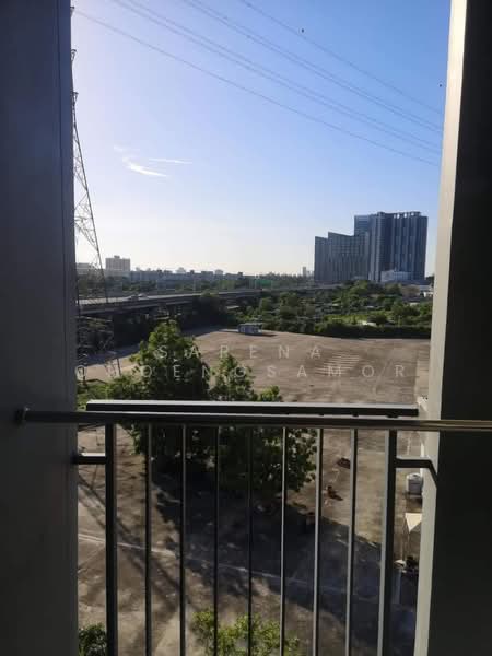 Rise Rama 9, Bangkok, Rama 9, Bang Kapi, Huai Khwang, Bangkok, 1 Bedroom, 30 sqm, Condo For Sale, by Sarena Choengsamor, 500251347 - DDproperty.com