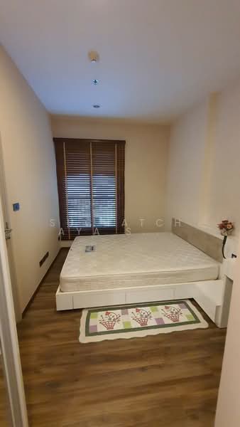 Wyne Sukhumvit, Bangkok, 1120 Sukhumvit Road, Phra Kanong, Khlong Toei, Bangkok, 1 Bedroom, 35 sqm, Condo For Rent, by Suchatchaya Supawachiranant, 500251465 - DDproperty.com