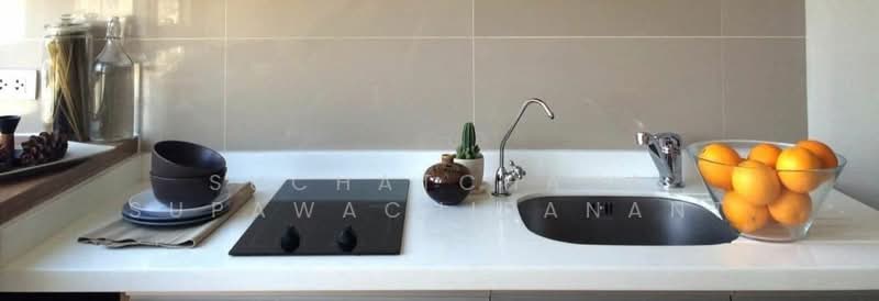 Rhythm Sukhumvit 50, Bangkok, 8 Sukhumvit 50, Sukhumvit Road, Phra Kanong, Khlong Toei, Bangkok, 1 Bedroom, 35 sqm, Condo For Rent, by Suchatchaya Supawachiranant, 500251484 - DDproperty.com