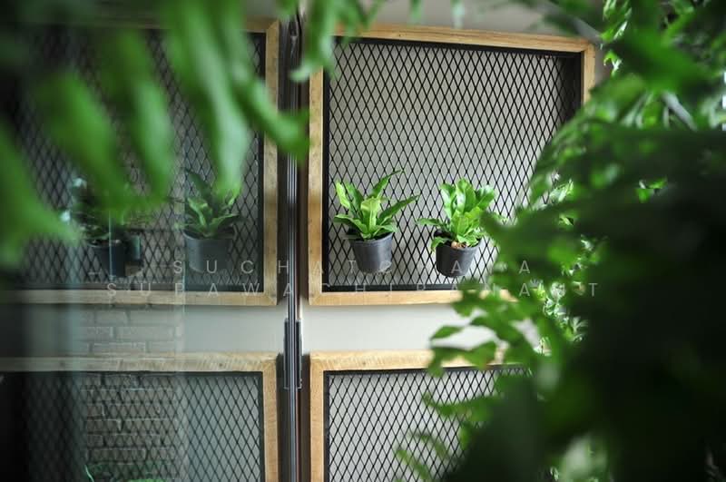 Condolette Dwell Sukhumvit 26, Bangkok, Soi Sukhumvit 26, Khong Tan, Khlong Toei, Bangkok, 1 Bedroom, 31 sqm, Condo For Rent, by Suchatchaya Supawachiranant, 500251555 - DDproperty.com