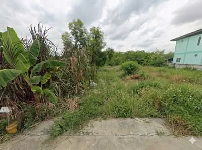ขาย - คลองสอง, ปทุมธานี
