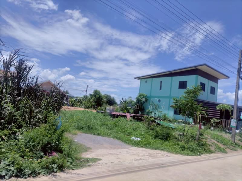 คลองสอง, Pathum Thani, Khlong Song, Khlong Luang, Pathum Thani, , 200 sqm, Land For Sale, by พิมพ์จิตตา วิรชญาณันท์, 500251794 - DDproperty.com