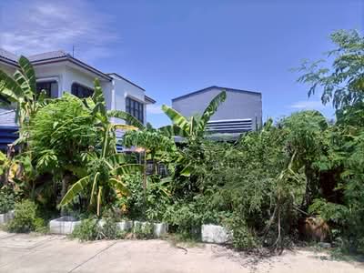 ขาย - คลองสอง, ปทุมธานี