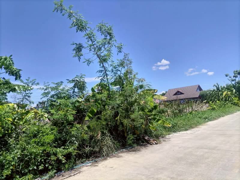 คลองสอง, Pathum Thani, Khlong Song, Khlong Luang, Pathum Thani, , 200 sqm, Land For Sale, by พิมพ์จิตตา วิรชญาณันท์, 500251794 - DDproperty.com
