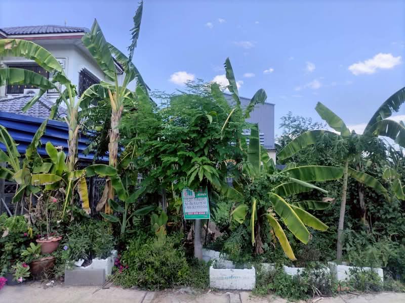 คลองสอง, Pathum Thani, Khlong Song, Khlong Luang, Pathum Thani, , 200 sqm, Land For Sale, by พิมพ์จิตตา วิรชญาณันท์, 500251794 - DDproperty.com