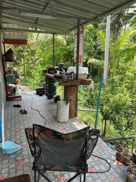 ขายสวนทุเรียน 7 ไร่ จ.ระยอง พร้อมเก็บผลผลิต, Rayong, Chum Saeng, Wang Chan, Rayong, , 11,200 sqm, Land For Sale, by Termsuk land and property, 500251815 - DDproperty.com