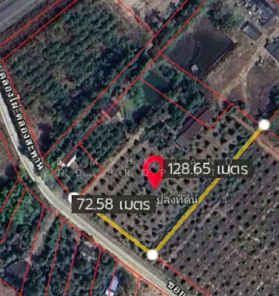 ขายสวนทุเรียน 7 ไร่ จ.ระยอง พร้อมเก็บผลผลิต, Rayong, Chum Saeng, Wang Chan, Rayong, , 11,200 sqm, Land For Sale, by Termsuk land and property, 500251815 - DDproperty.com
