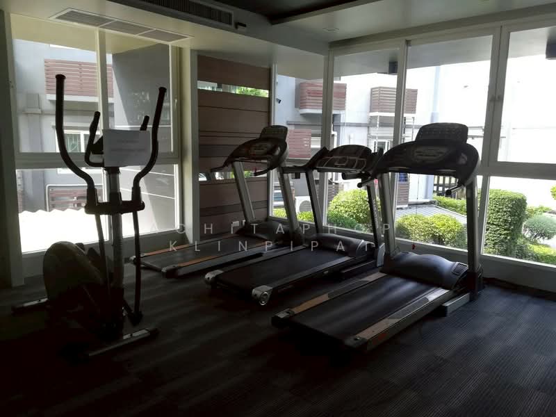 Apus Condominium Pattaya, Chon Buri (Pattaya), Soi Paniad Chang, Nong Pru, Bang Lamung (Pattaya), Chon Buri (Pattaya), 1 Bedroom, 50 sqm, Condo For Rent, by Achitaphop Klinpipat, 500251820 - DDproperty.com