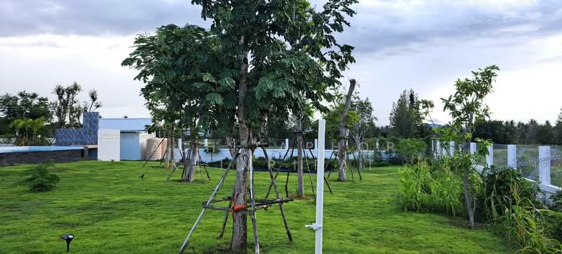 undefined, Prachuap Khiri Khan, Wang-Pong, Pran Buri, Prachuap Khiri Khan, 5 Bedrooms, 760 sqm, Villa For Sale, by Achitaphop Klinpipat, 500251980 - DDproperty.com