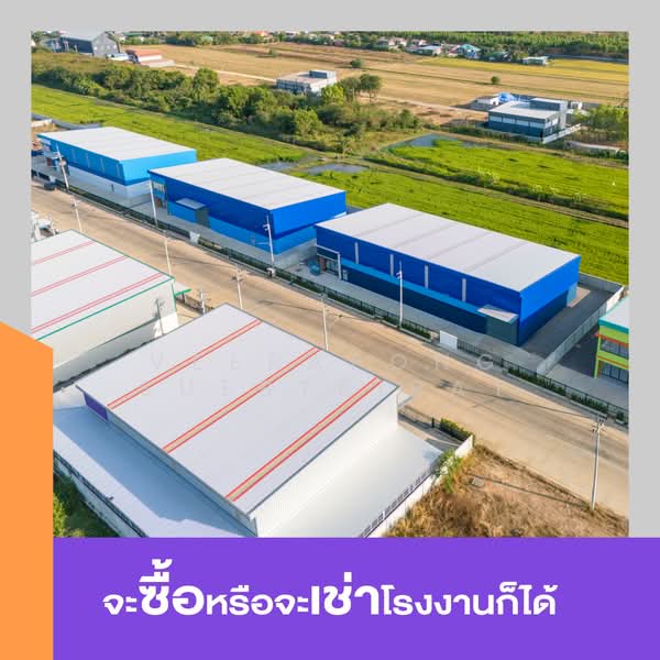 Factory Square ลำลูกกาคลอง 9, ปทุมธานี, ลำลูกกา, ปทุมธานี, 1,400 ตร.ม., โกดัง-โรงงาน ขาย, โดย Veerapong Suebtrirat, 500252056 - DDproperty.com