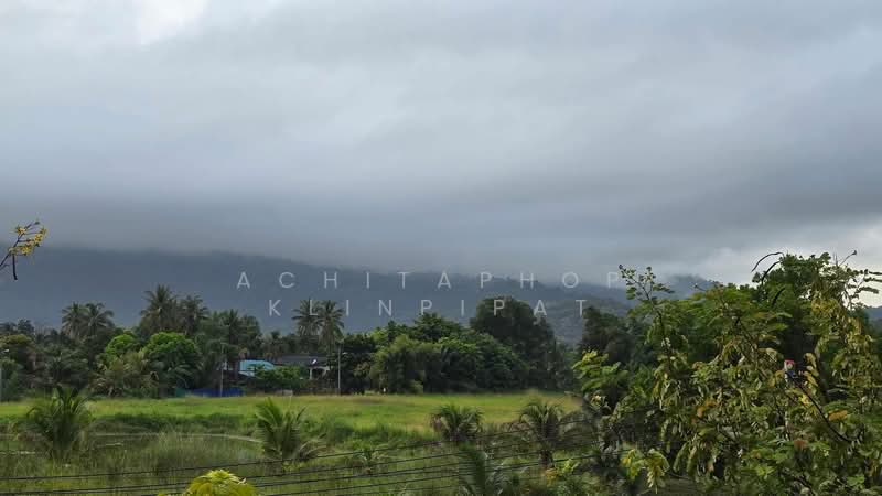 บ้าน 4-ห้องนอน, ชลบุรี, บางพระ, ศรีราชา, ชลบุรี, 368 ตร.ม., บ้านเดี่ยว ขาย, โดย Achitaphop Klinpipat, 500252097 - DDproperty.com