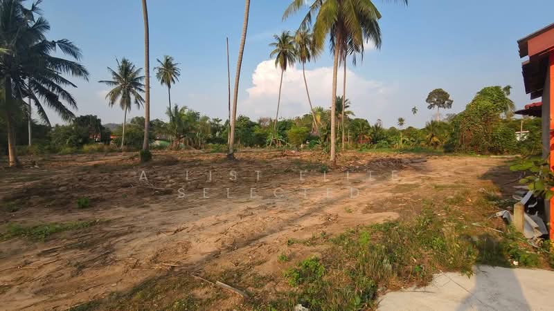 ขาย - บางละมุง, ชลบุรี