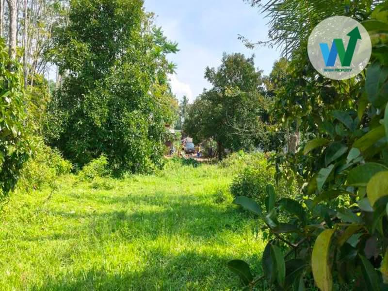 ขาย - ทางหลวงชนบทบ้านลานช้าง-บ้านน้ำตกไพรวัลย์, พัทลุง