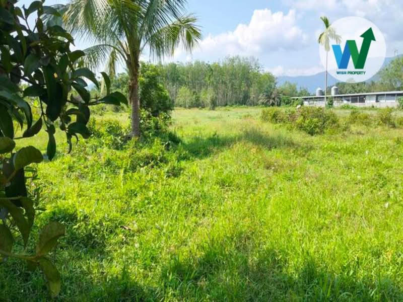 ขาย - ทางหลวงชนบทบ้านลานช้าง-บ้านน้ำตกไพรวัลย์, พัทลุง