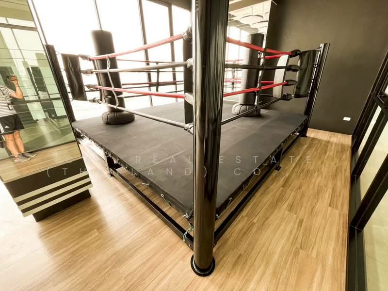 Niche Mono Ramkhamhaeng, Bangkok, Soi Ramkhamhaeg 36, Hua Mak, Bang Kapi, Bangkok, 1 Bedroom, 31 sqm, Condo For Rent, by Cat Real Estate (Thailand) Co., Ltd., 500252181 - DDproperty.com