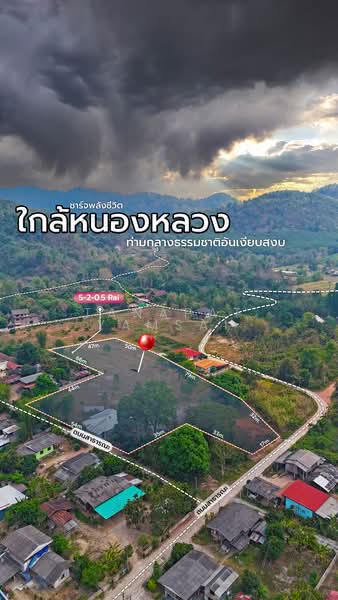 เมืองชุม, Chiang Rai, 1173, Mueng Chum, Wiang Chai, Chiang Rai, , 8,800 sqm, Land For Sale, by Tanapat Yamsai, 500252194 - DDproperty.com